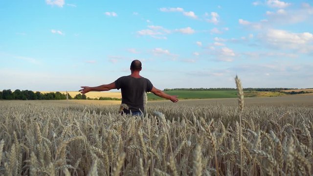 Young male farmer in a wheat field. Agronomist looks at the wheat harvest.