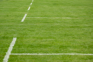 Obraz premium Lawn. Limit lines of a sports grass field with selective focus