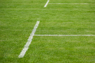 Fototapeta na wymiar Lawn. Limit lines of a sports grass field with selective focus