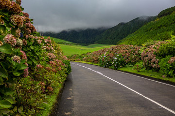 road surrounded by green vegetation on Sao Miguel Island, Azores, Portugal