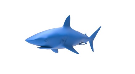 Black Shark on Blue Background 3D Rendering