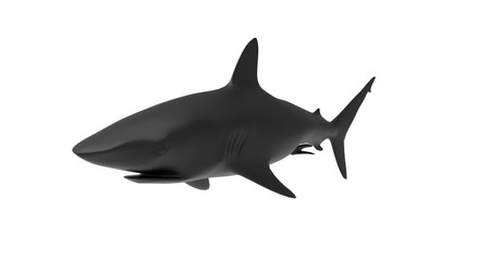 Black Shark on White Background 3D Rendering