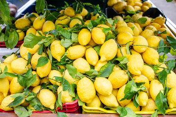 Wicker basket full of lemons on the italian street od Corniglia
