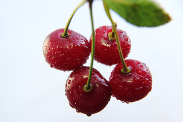 Bright colorful cherry berries on a white background