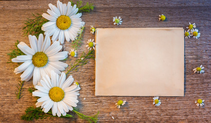 Obraz premium background for the text of craft paper on a wooden background with large and small daisies