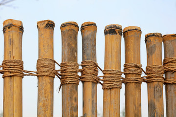 Bamboo fence in a park