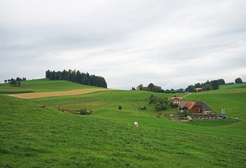 Fototapeta na wymiar Landscape in Switzerland, green pasture, farm house, cows 