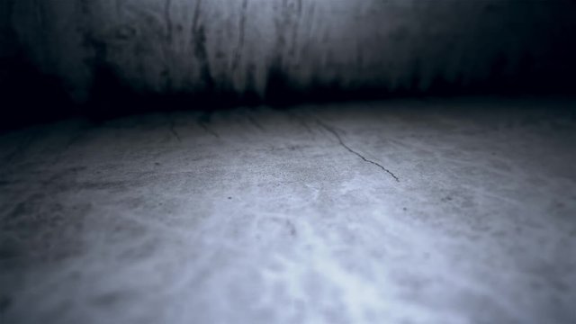 Movement of the camera on the cement floor