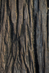 Abstract old brown wood texture