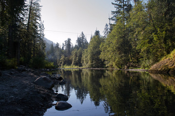 Olympic National Park, Washington 