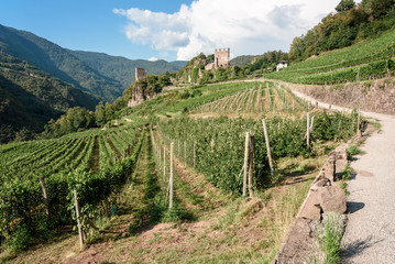 view of the val di Cembra, the castel of duren in val di cembra, a secret of dolomites. italy