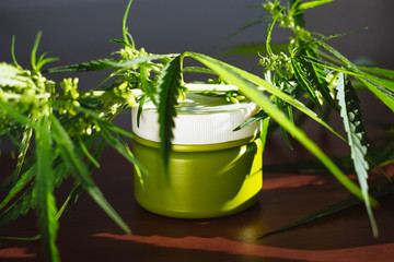 Cannabis hemp cream background with marijuana leaf - cannabis concept self care in of health care. Cosmetics with hemp extract on table. Herbal organic medicine CBD product