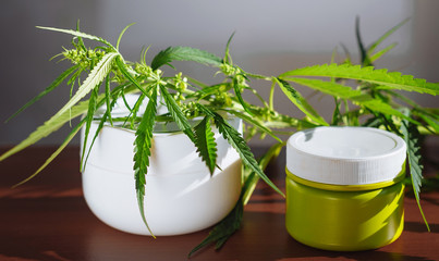 Cannabis hemp cream background with marijuana leaf - cannabis concept self care in of health care....