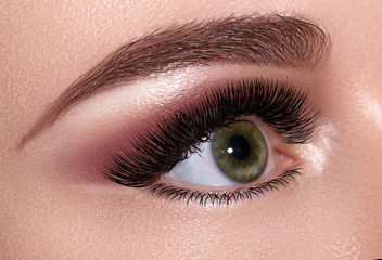 Beautiful Macro Female Eye with Extreme Long Eyelashes and Celebrate Evening Makeup. Perfect Shape...