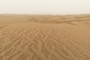 Misty light of morning over shifting sand dunes. TaklaMakan desert-Xinjiang-China-0356