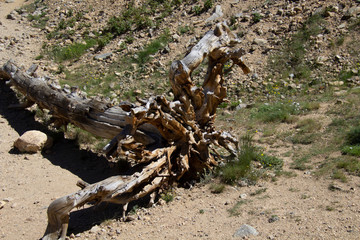 St. Mary's Glacier hike 07/2019