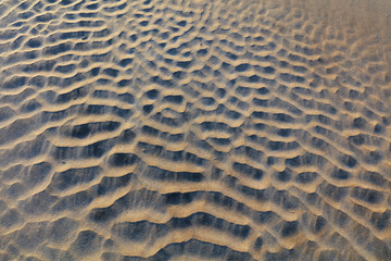 Sandy beach texture background