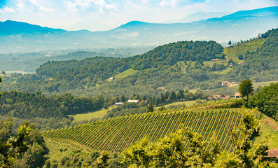 Fototapeta premium Vineyards in south styria in Austria. Landscape of Leibnitz area from Kogelberg.