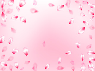 Pink sakura petals confetti flying and falling