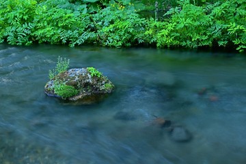 豊富な湧水が湧き出る公園＠羊蹄山、北海道