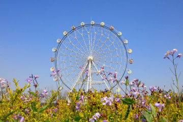 Fototapeta premium Ferris wheel in amusement park