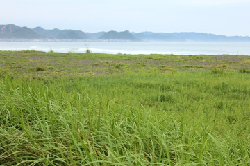汐入公園