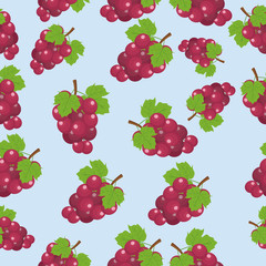 Vector Grape Pattern