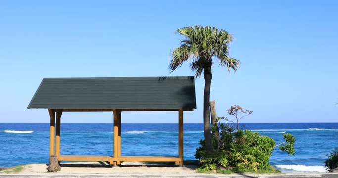 Palm tree and pavilion at Ohama beach in Amami oshima Kagoshima copyspave