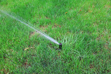 Sprinkler irrigation facilities in the lawn