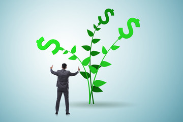 Money tree concept with businessman in growing profits