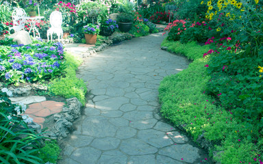 path way in garden in the flowers garden.