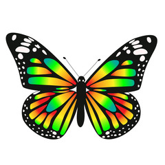 One toxic gradient butterfly. Vector graphics isolated on white background.