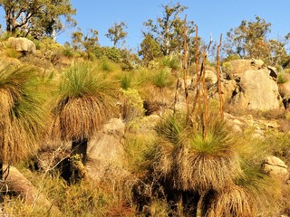 Rock formations 