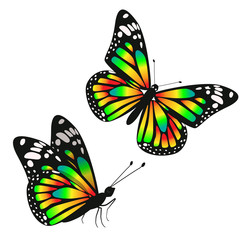 A set of two toxic gradient butterflies. Vector graphics isolated on white background.