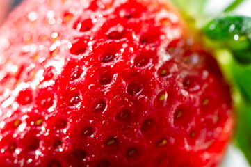 strawberry macro shot with green leaves on white background 