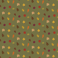 Colourful autumn leaves pattern isolated on green background.