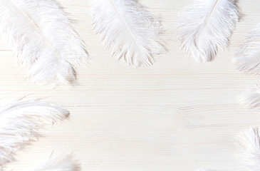 fluffy white ostrich feathers lined with circle on white wooden background