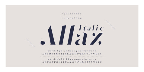 Elegant awesome alphabet letters italic font and number. Classic Lettering Minimal Fashion Designs. Typography fonts regular uppercase and lowercase. vector illustration