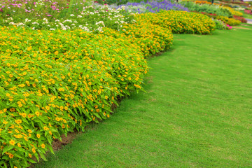 Flower garden with lawn