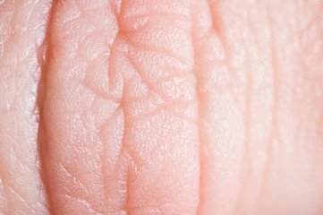 The skin of a finger on a human hand close-up, macro