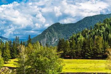 Mountain view in summer. Mountain Altai