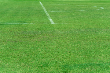 green natural grass football or soccer field with white curve and straight line sport background