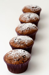Chocolate chip muffin line in light and dark cake mixture, over white back