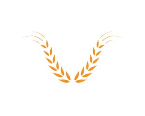 Agriculture wheat Logo Template vector icon design 