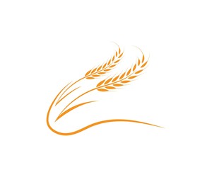 Agriculture wheat Logo Template vector icon design 