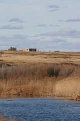 Dry grass in steppe by cloudy sky