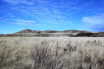 summer steppe landscape with hils and blue sky