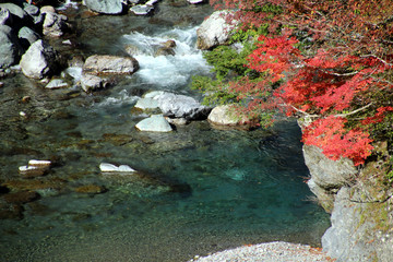 剣山スーパー林道の紅葉