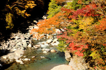 剣山スーパー林道の紅葉
