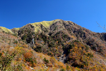 剣山系、次郎岌の秋